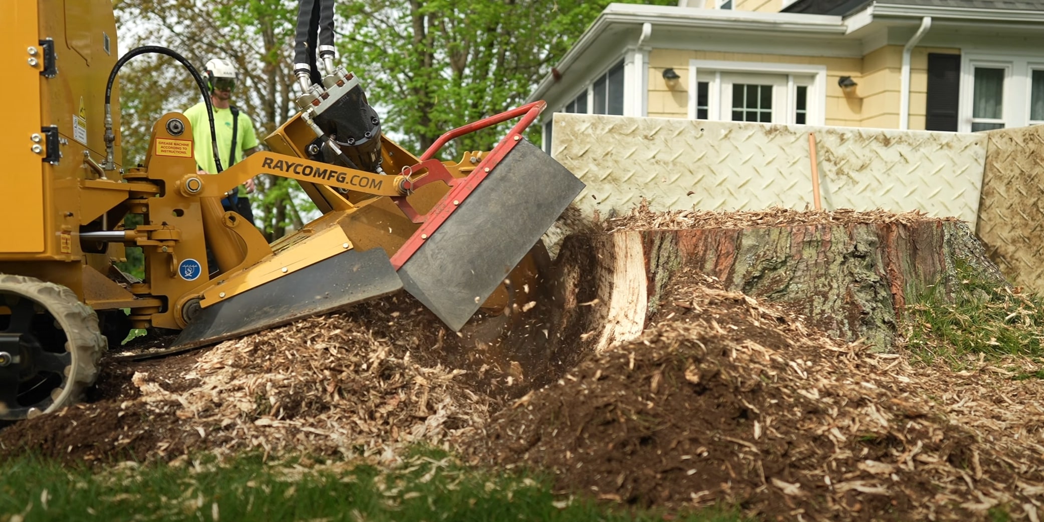Fast-growing tree management in Corona
